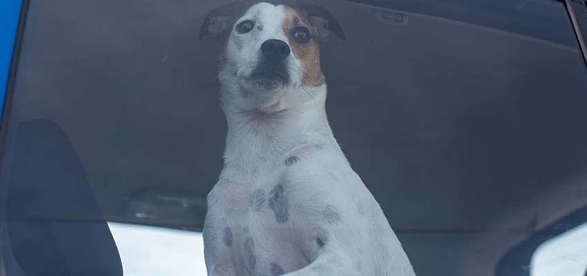 Car Lockout Solutions in Rocklin, California